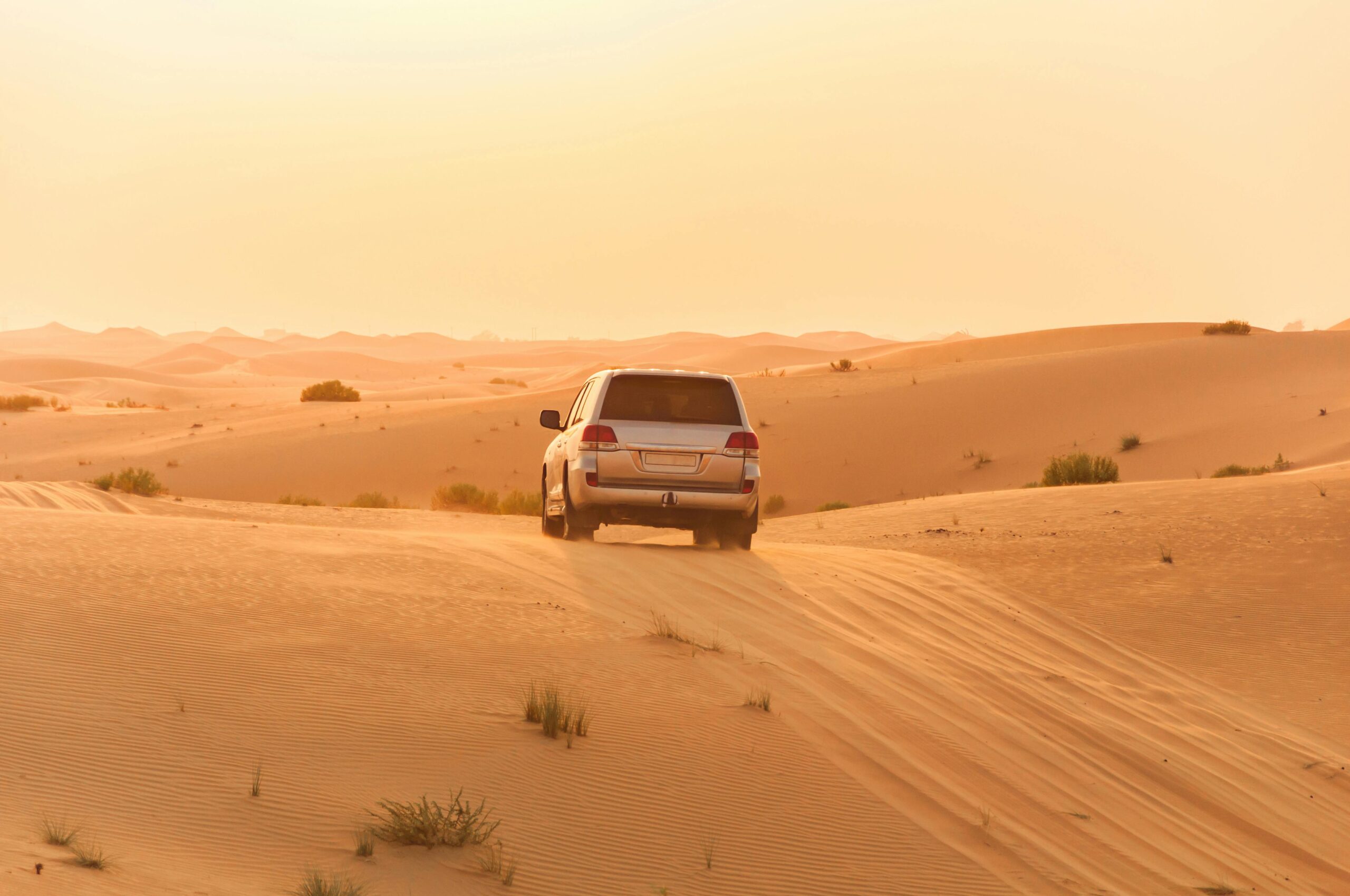 How Far is a Desert Safari from Dubai? Understanding the Distance and Travel Options